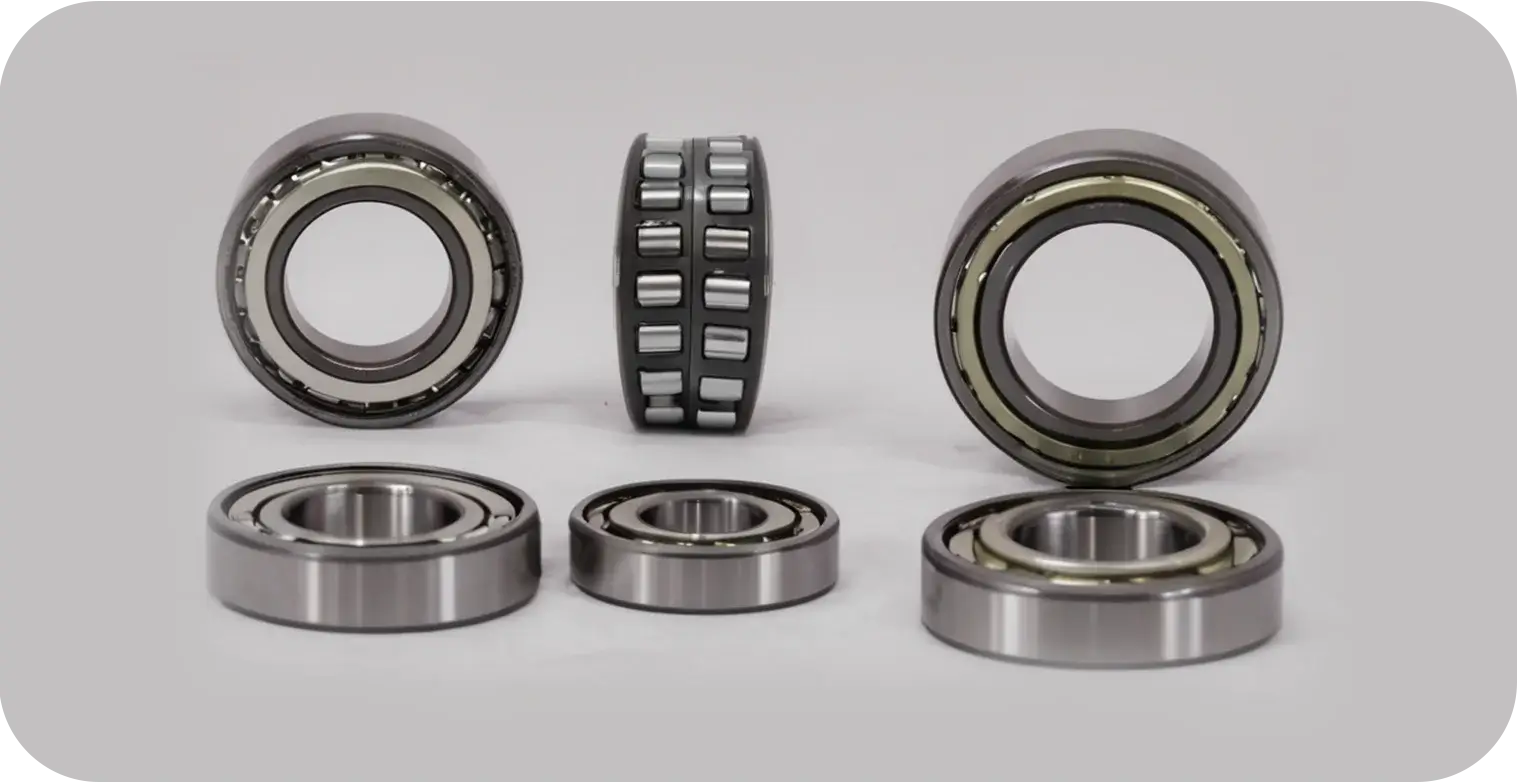 bearings (5)